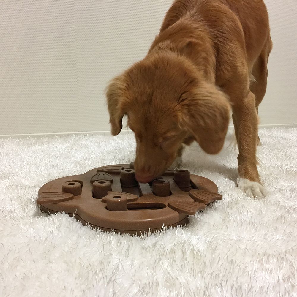 Nina Ottosson Dog Hide N'Slide іграшка для собак 33х33х5 см - бежевий