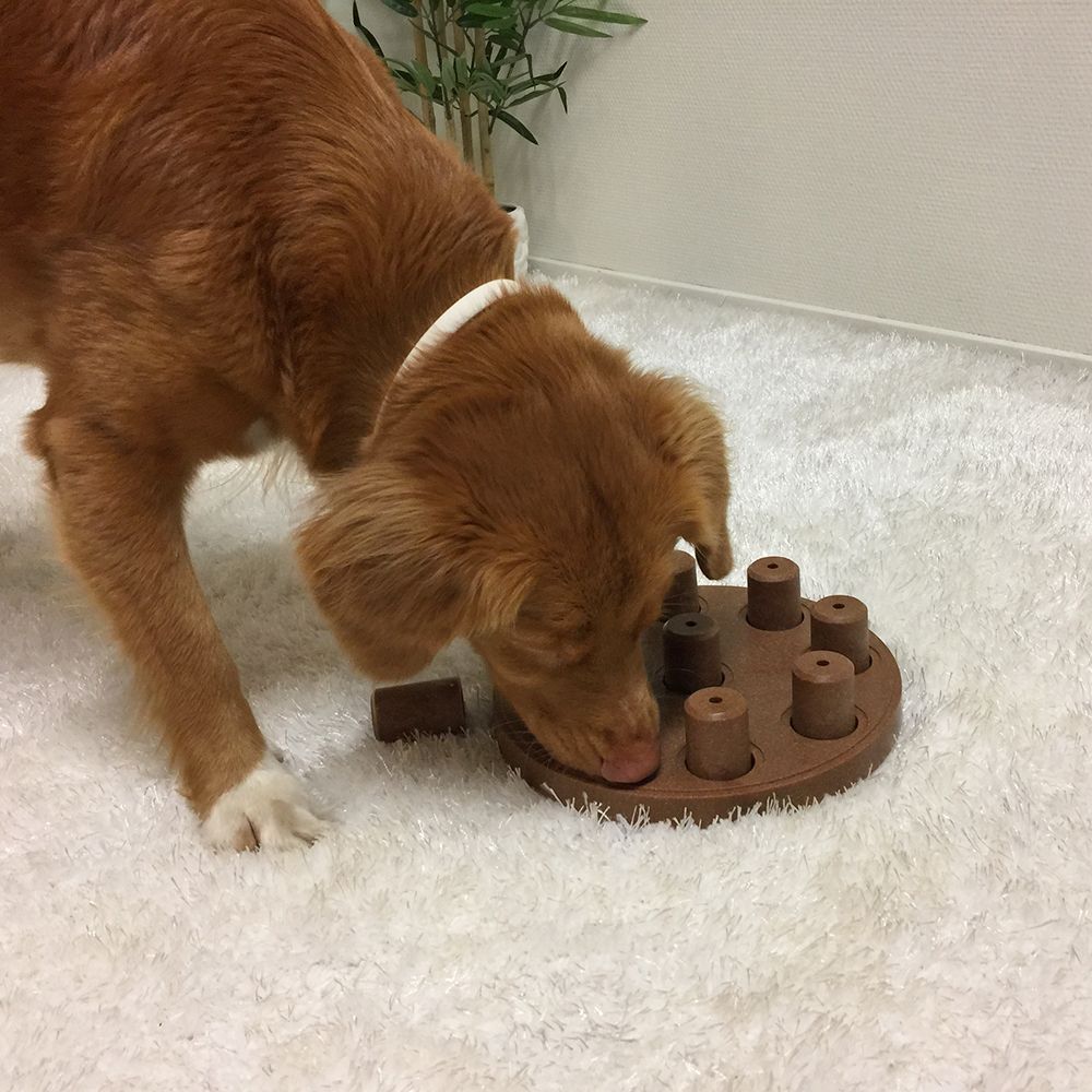 Nina Ottosson Dog Smart Composite іграшка для собак 23 см - бежевий
