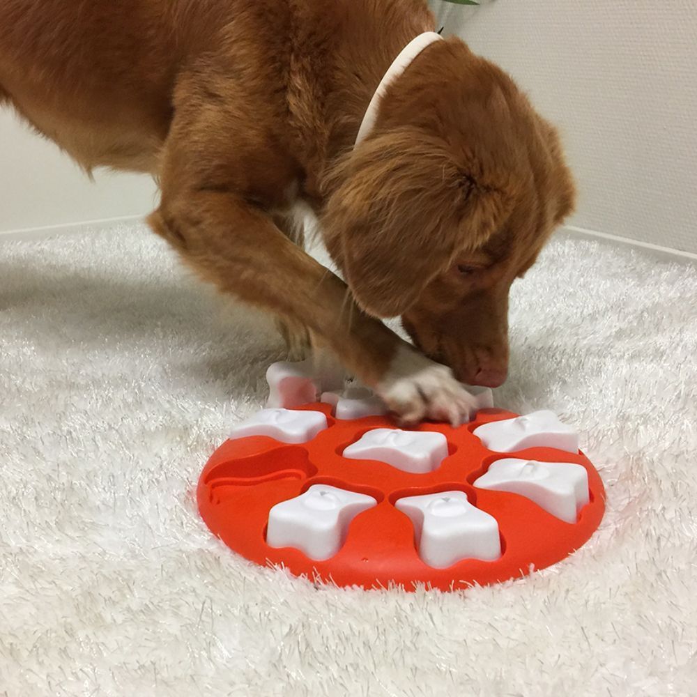 Nina Ottosson Dog Smart іграшка для собак 27 см - помаранчевий