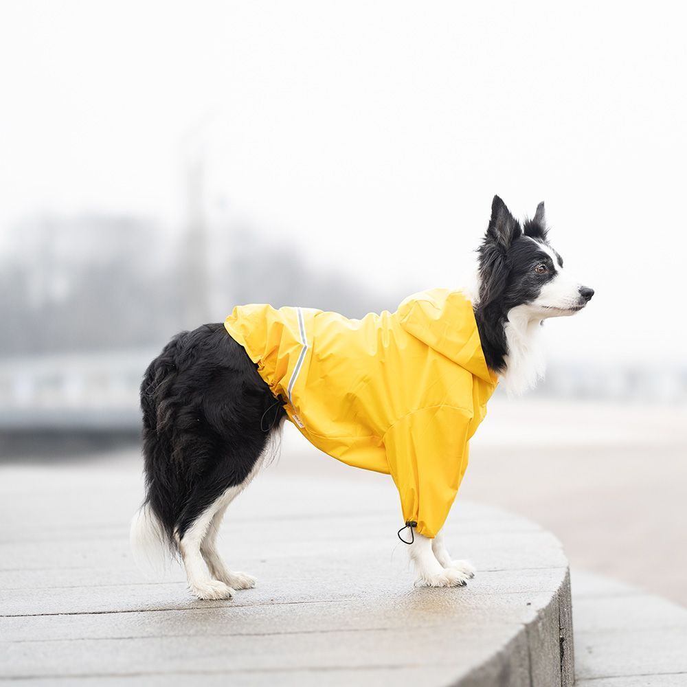 Noble Pet Moss дощовик для собак L Noble Pet Moss дощовик для собак L