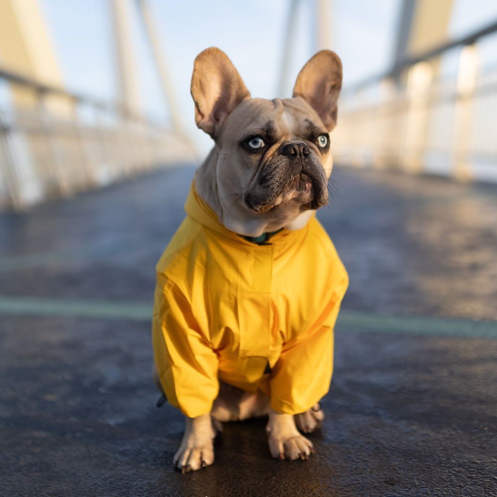 Noble Pet Moss дощовик для собак XL-Short жовтий Noble Pet Moss дощовик для собак XL-Short жовтий