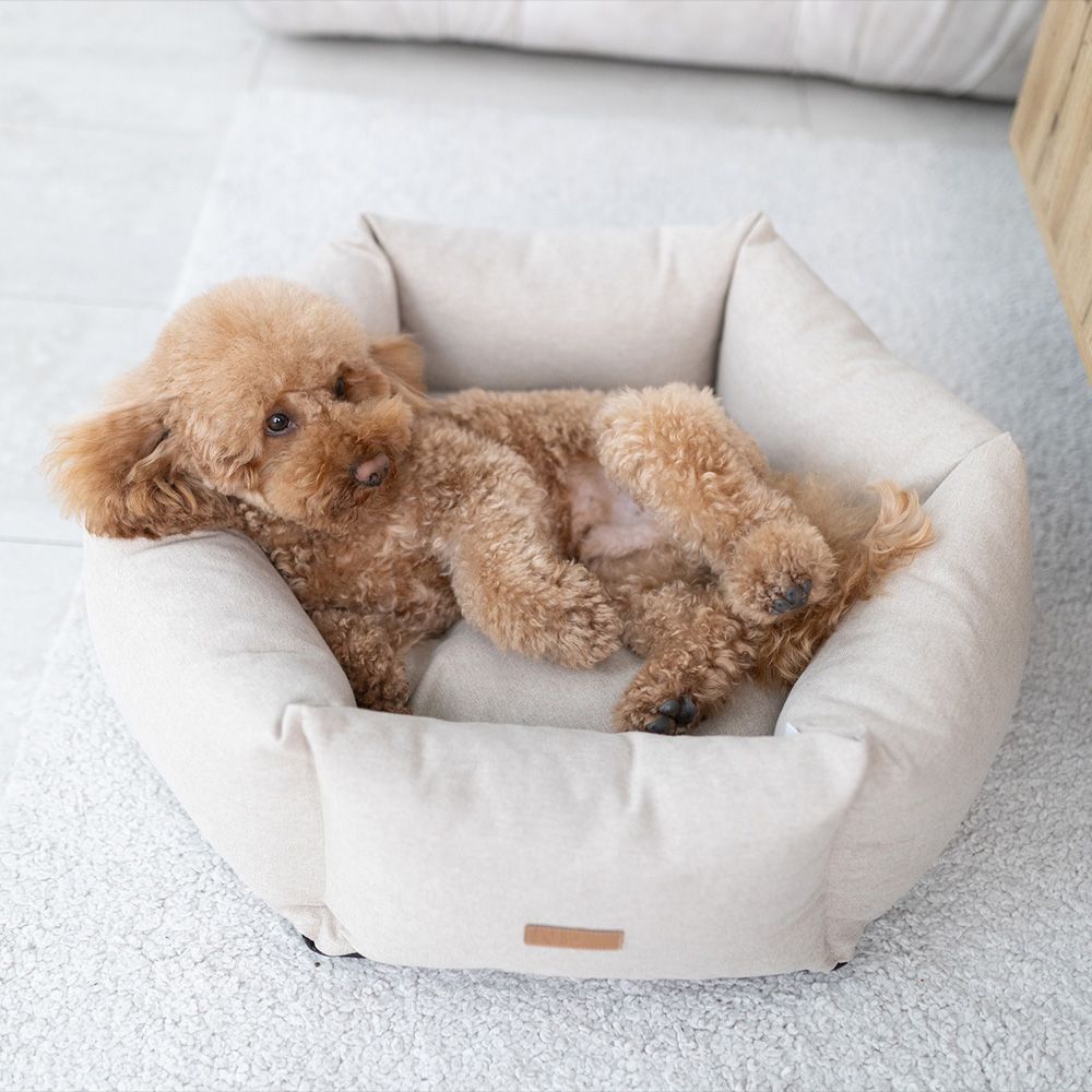 Noble Pet Paul лежак для собак 65x65 см - бежевий