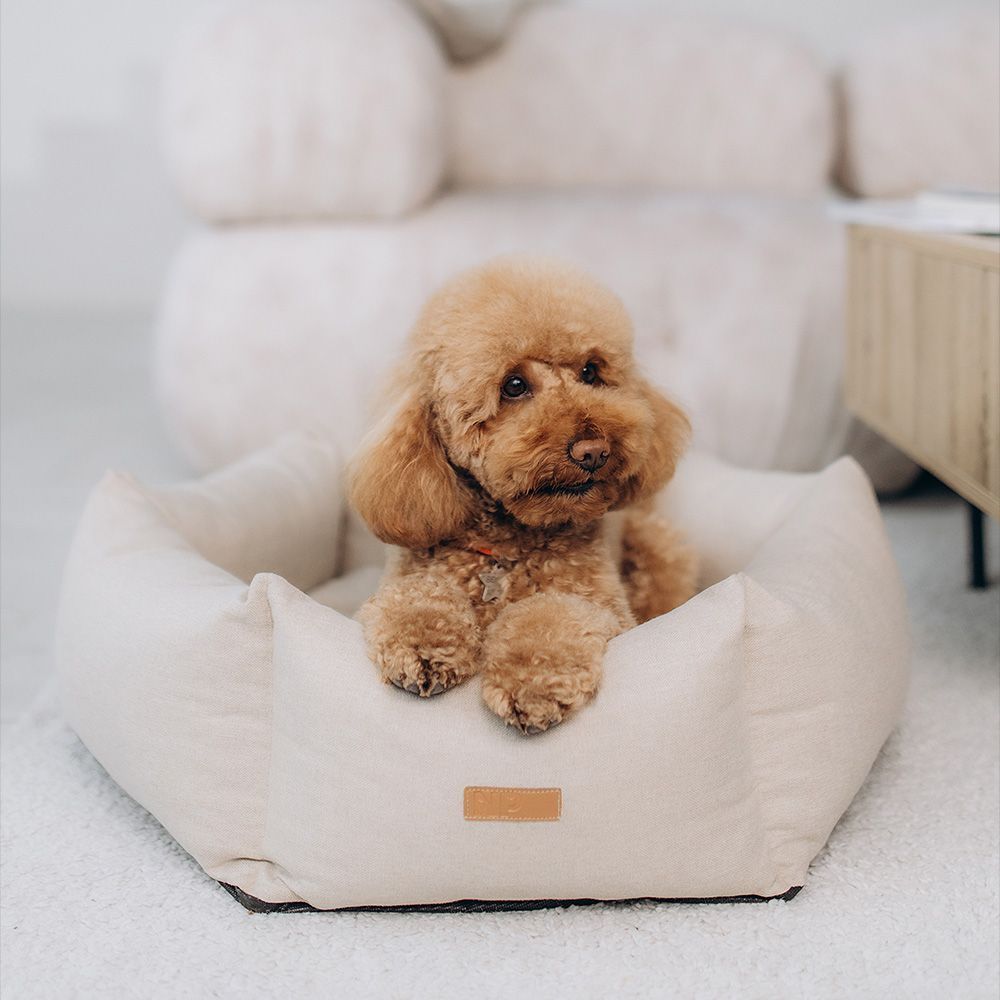 Noble Pet Paul лежак для собак 65x65 см - бежевий