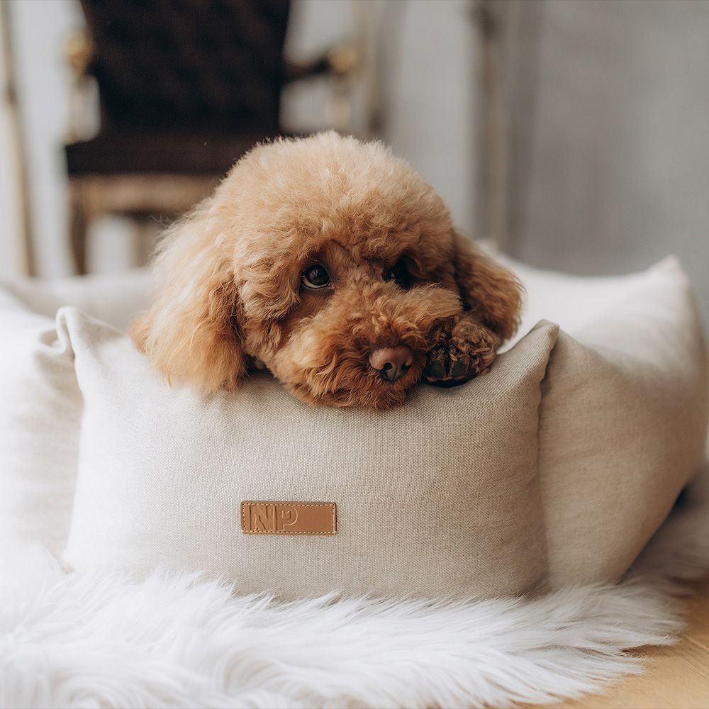 Noble Pet Paul лежак для собак 65x65 см - бежевий