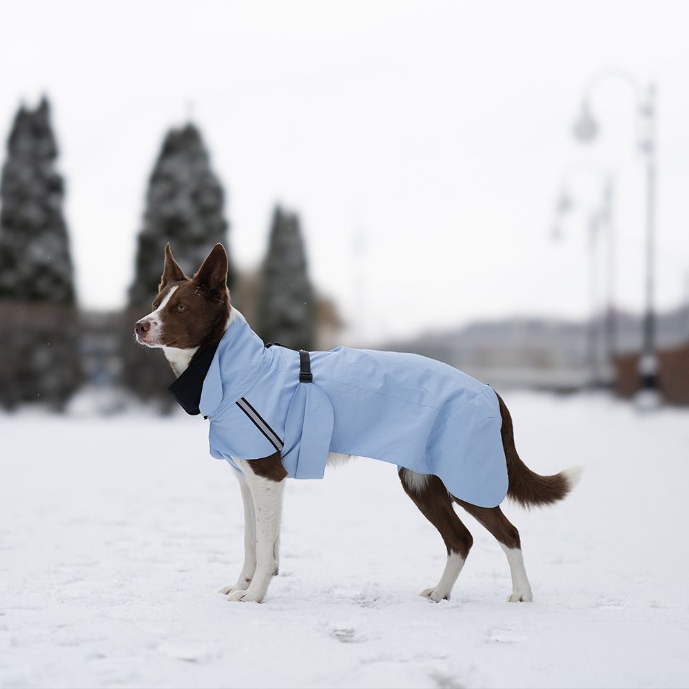 Noble Pet Rio дощовик для собак 2XL