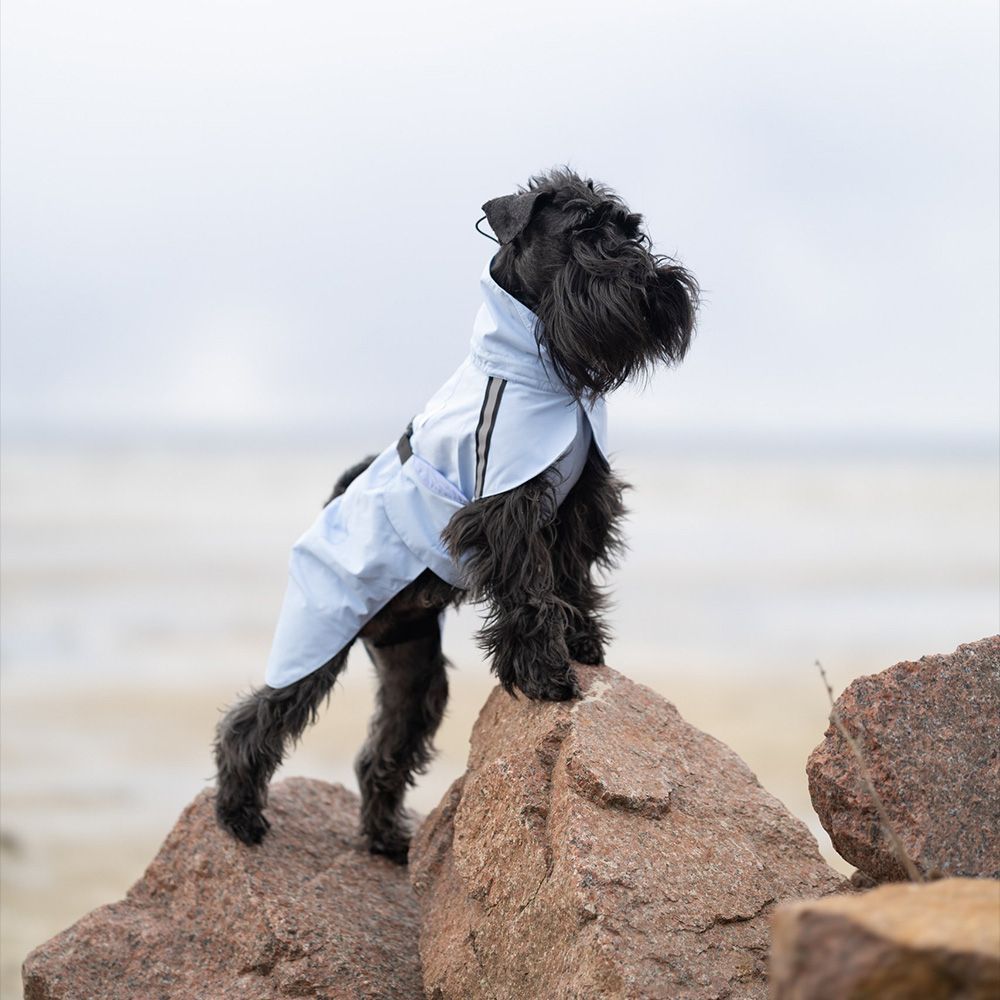 Noble Pet Rio дощовик для собак 2XL