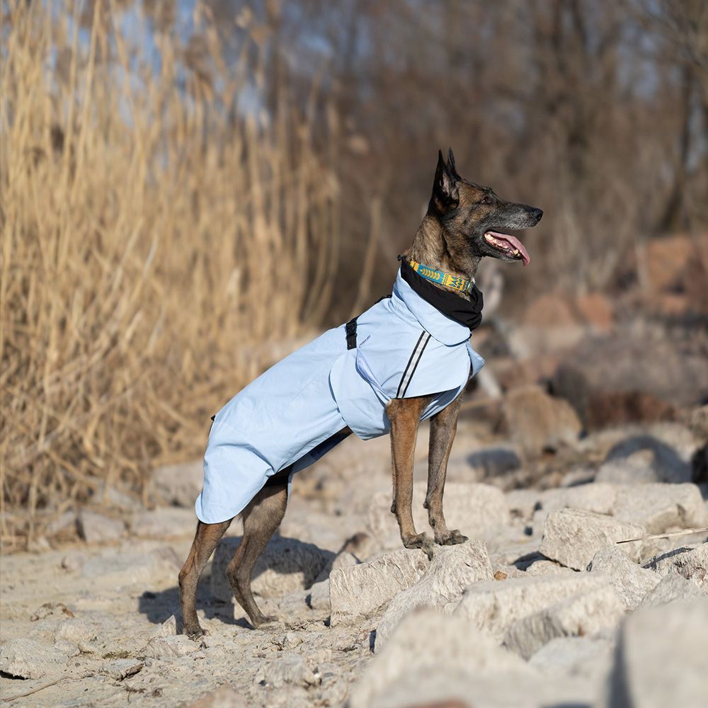Noble Pet Rio дощовик для собак 2XL