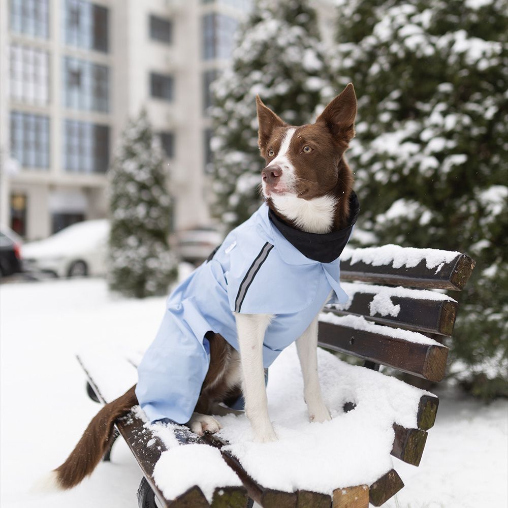 Noble Pet Rio дощовик для собак 2XL