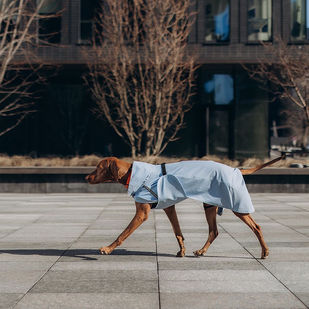Noble Pet Rio дощовик для собак 2XL