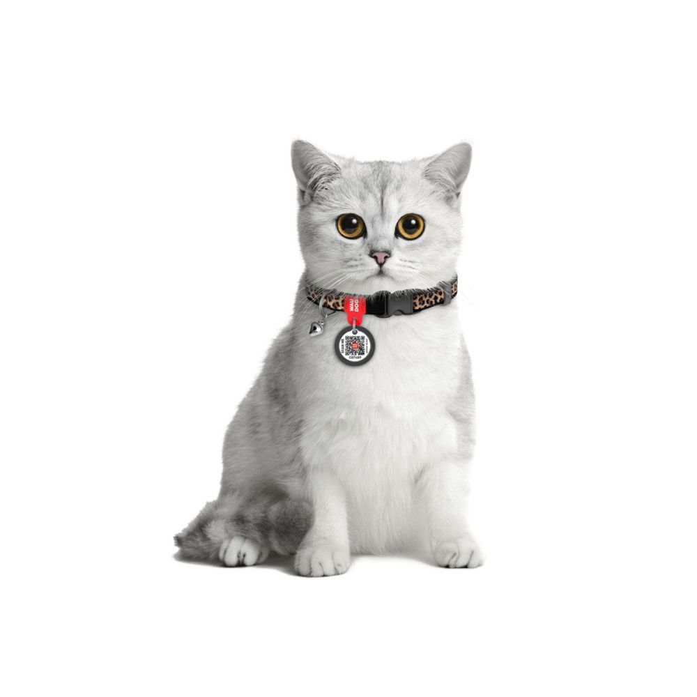 Ошейник для котов COLLAR Нейлон XS - леопард