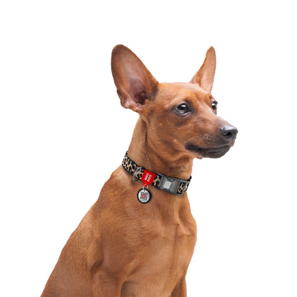 Нашийник для собак COLLAR Нейлон 25-35 см - леопард Нашийник для собак COLLAR Нейлон 25-35 см - леопард