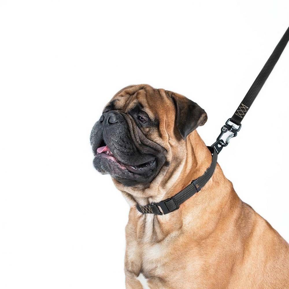 Нашийник Collar Еволютор 25-70 см/25 мм (чорний) Нашийник Collar Еволютор 25-70 см/25 мм (чорний)