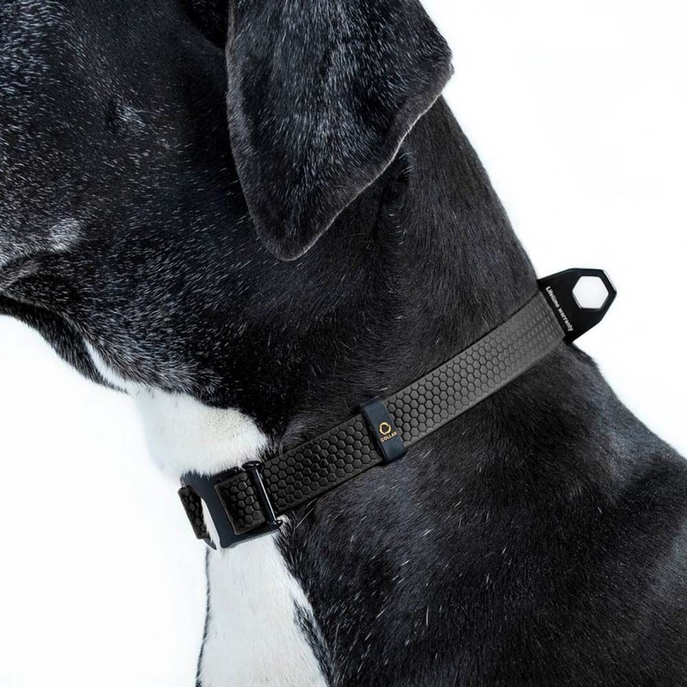 Нашийник Collar Еволютор 25-70 см/25 мм (чорний) Нашийник Collar Еволютор 25-70 см/25 мм (чорний)