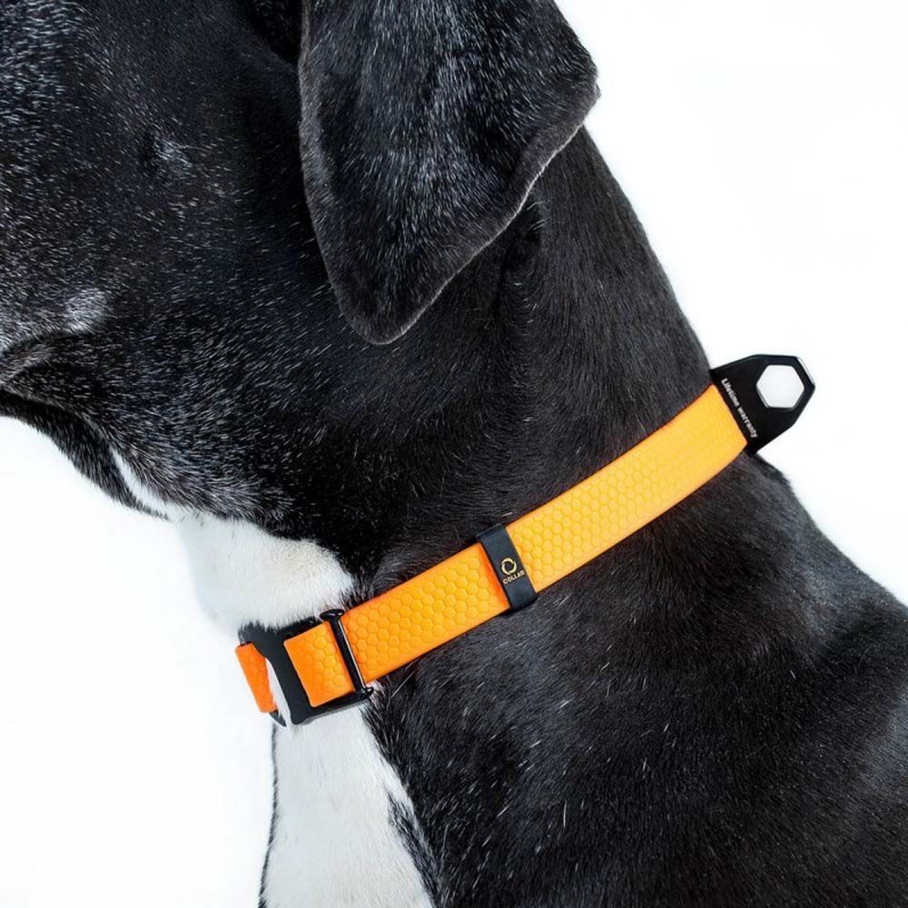 Collar Evolutor нашийник для собак 25-70 см - помаранчевий