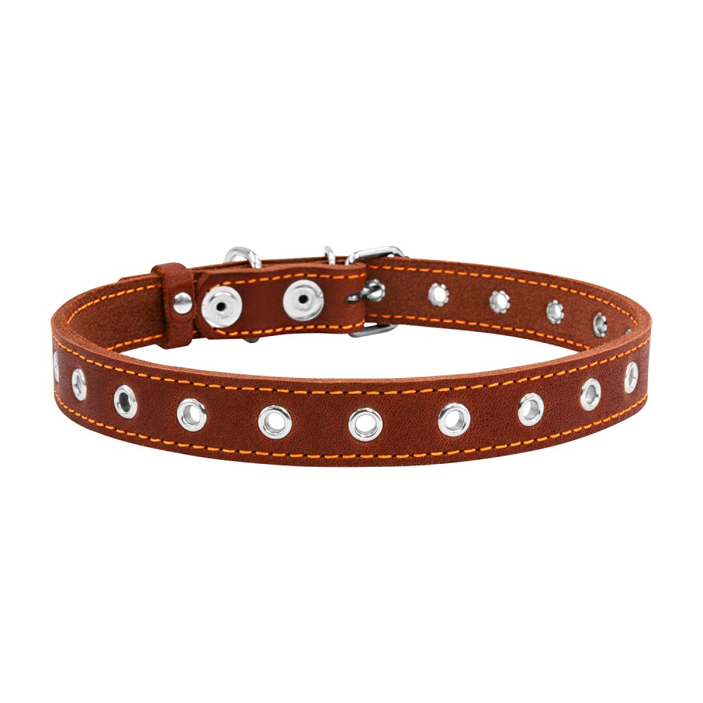 Ошейник для собак COLLAR Натуральная кожа S - коричневый