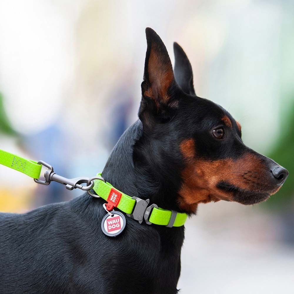 Нашийник Collar WAUDOG Waterproof з QR-паспортом 24-40 см/20 мм (салатовий) Нашийник Collar WAUDOG Waterproof з QR-паспортом 24-40 см/20 мм (салатовий)