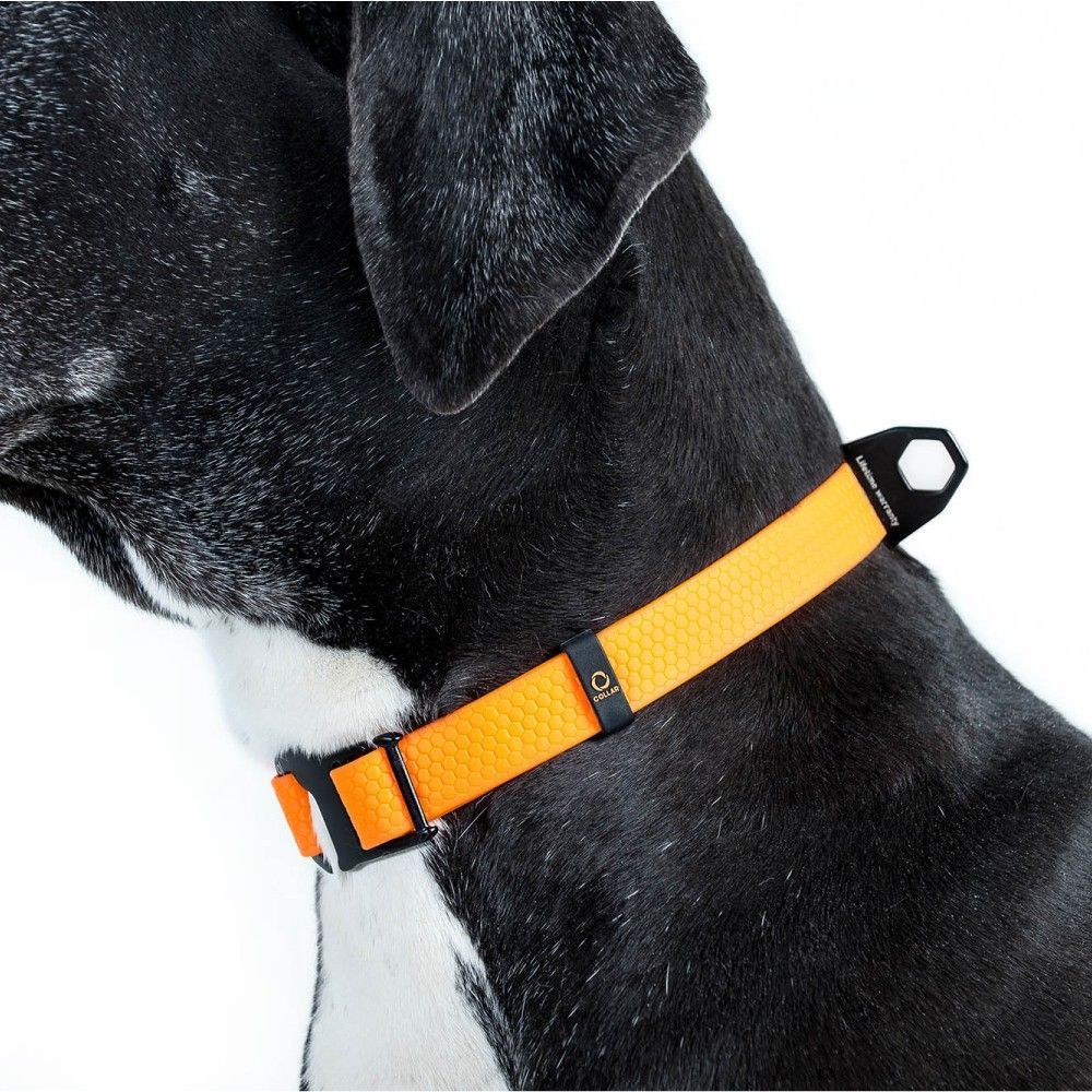 Нашийник для собак COLLAR Evolutor XS-XL - помаранчевий Нашийник для собак COLLAR Evolutor XS-XL - помаранчевий