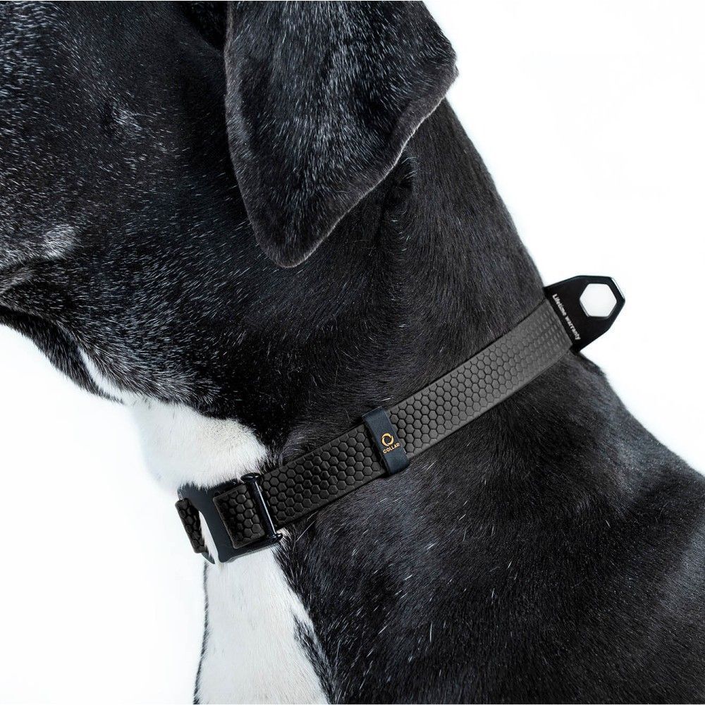 Collar Evolutor нашийник для собак XS–XL - чорний