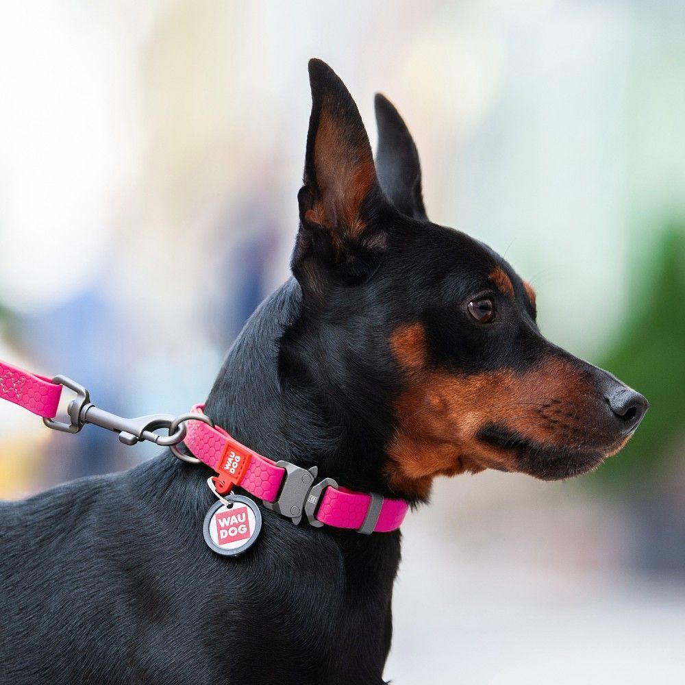 Нашийник для собак COLLAR WOUDOG Водостійкий S - рожевий