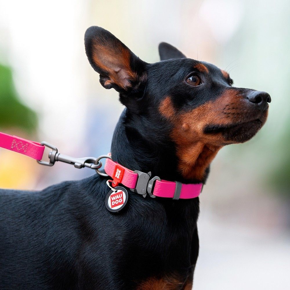 Нашийник для собак COLLAR WOUDOG Водостійкий S - рожевий