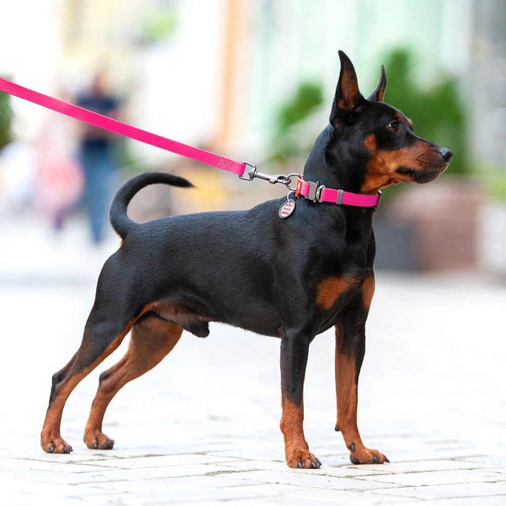 Нашийник для собак COLLAR WOUDOG Водостійкий S - рожевий