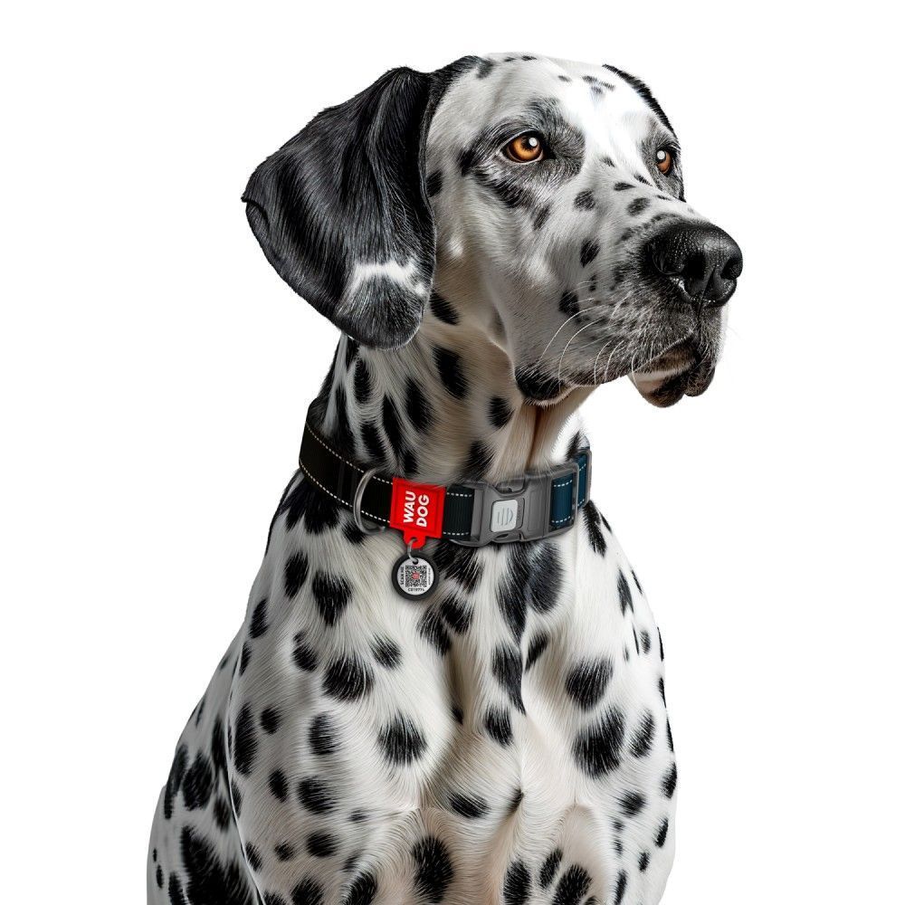 Нашийник для собак Collar Waudog Nylon Mono L - чорний Нашийник для собак Collar Waudog Nylon Mono L - чорний
