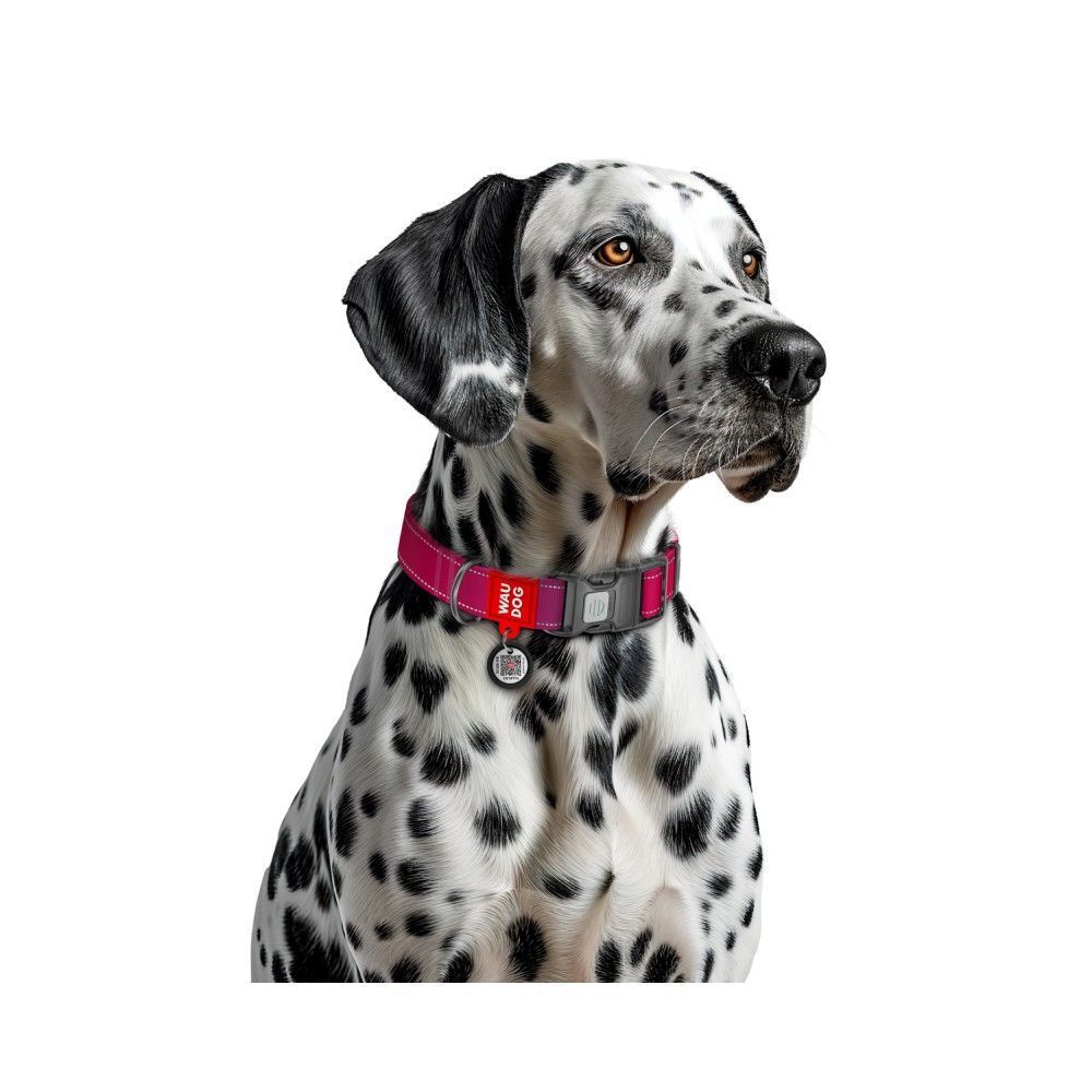 Нашийник для собак Collar Waudog Nylon Mono M - рожевий Нашийник для собак Collar Waudog Nylon Mono M - рожевий