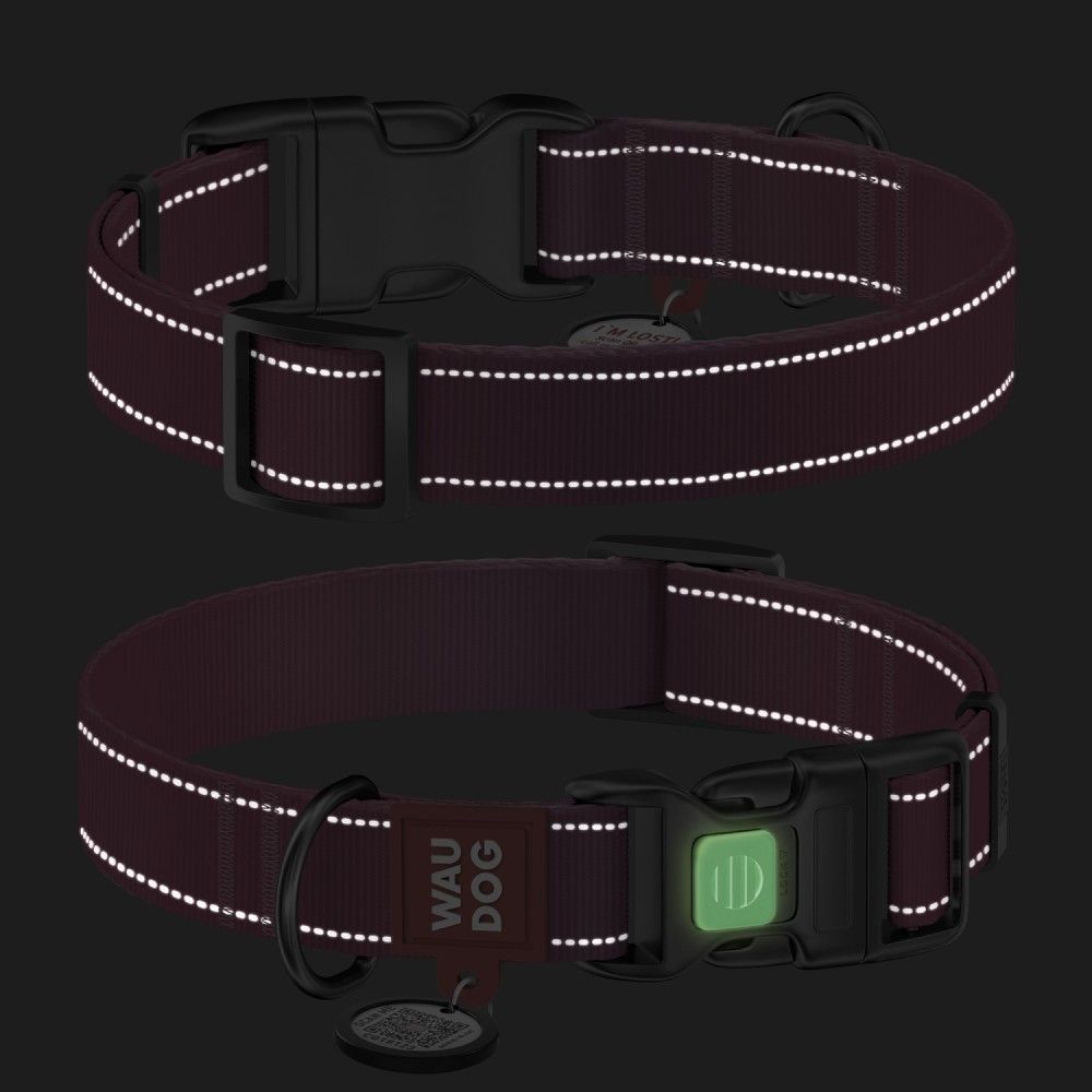 Нашийник для собак Collar Waudog Nylon Mono M - рожевий Нашийник для собак Collar Waudog Nylon Mono M - рожевий