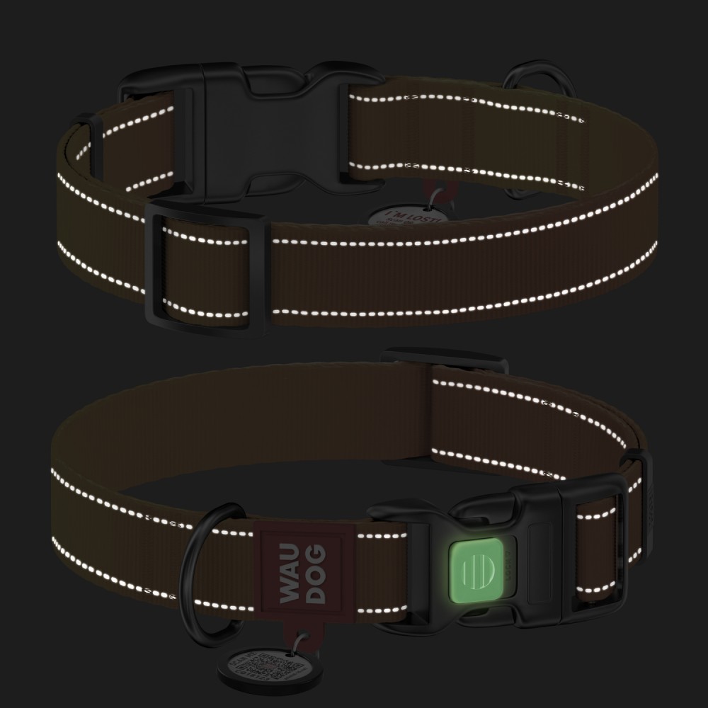 Нашийник для собак Collar Waudog Nylon Mono S - помаранчевий
