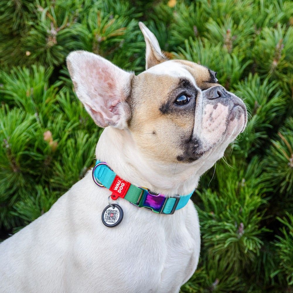 Нашийник для собак Collar Waudog Nylon Recycled M - блакитний Нашийник для собак Collar Waudog Nylon Recycled M - блакитний