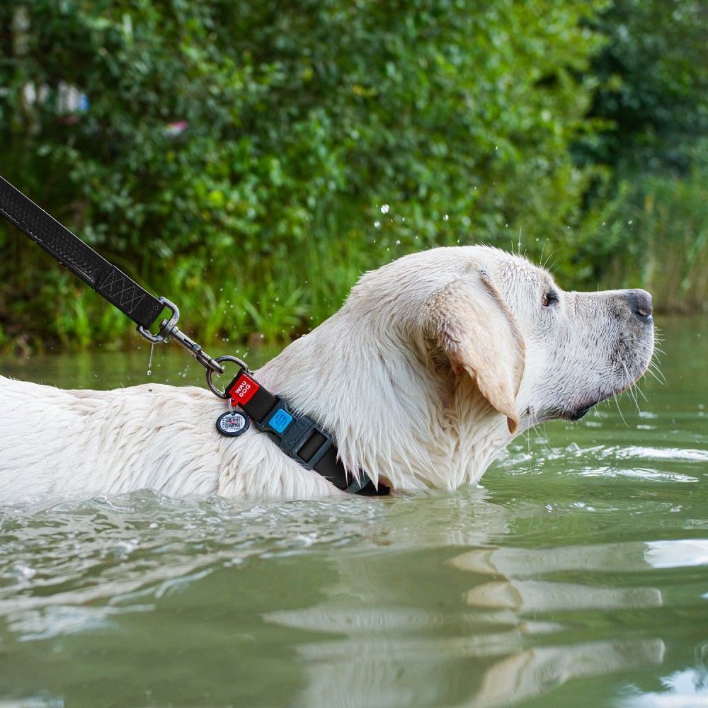 Нашийник для собак Collar Waudog Waterproof XL - чорний Нашийник для собак Collar Waudog Waterproof XL - чорний