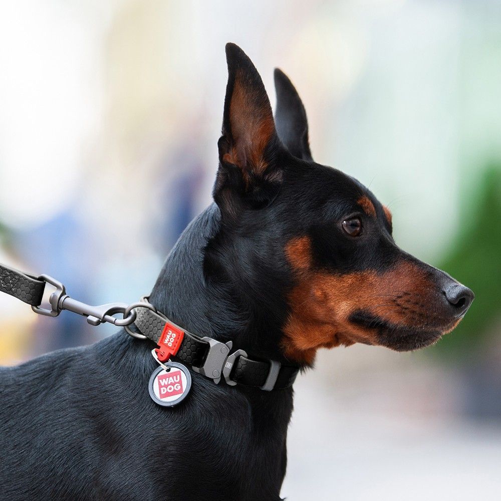 Нашийник для собак Collar Waudog Waterproof XL - чорний Нашийник для собак Collar Waudog Waterproof XL - чорний