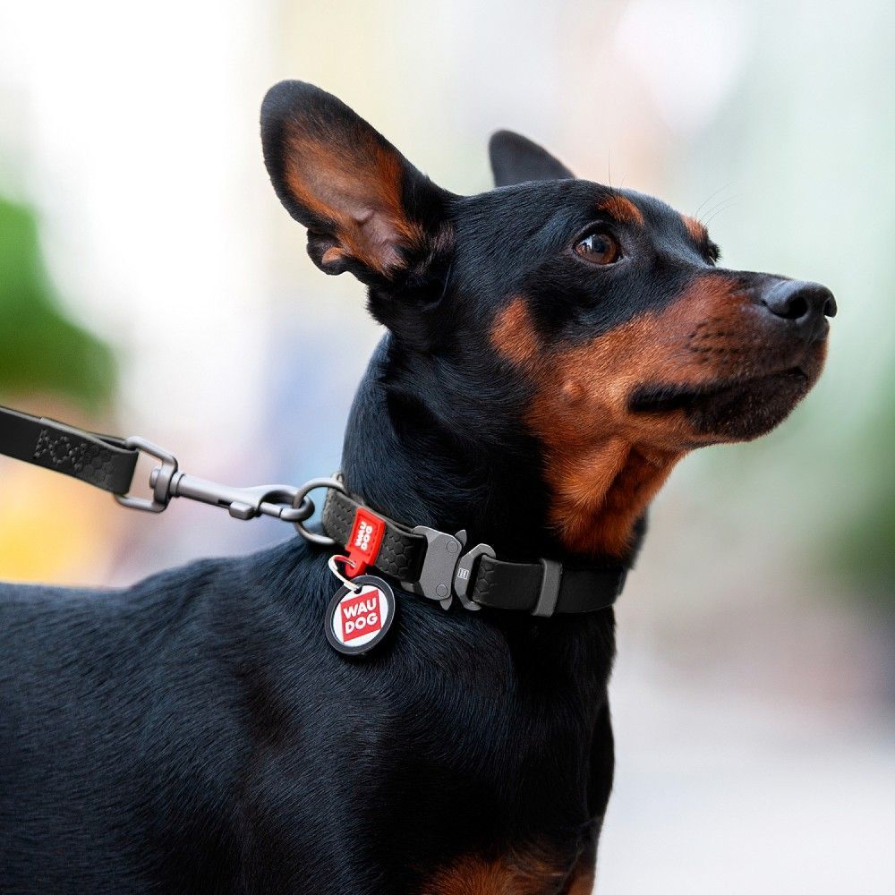 Нашийник для собак Collar Waudog Waterproof XL - чорний Нашийник для собак Collar Waudog Waterproof XL - чорний