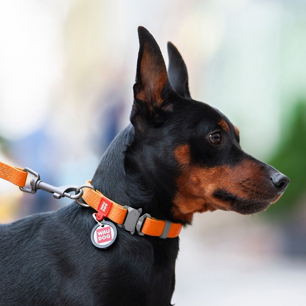 Нашийник для собак Collar Waudog Waterproof XL - помаранчевий Нашийник для собак Collar Waudog Waterproof XL - помаранчевий