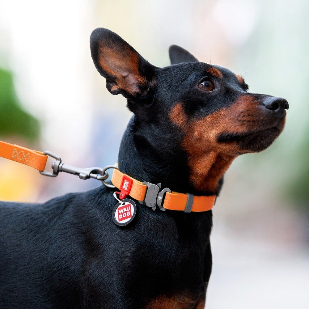 Нашийник для собак Collar Waudog Waterproof XL - помаранчевий Нашийник для собак Collar Waudog Waterproof XL - помаранчевий