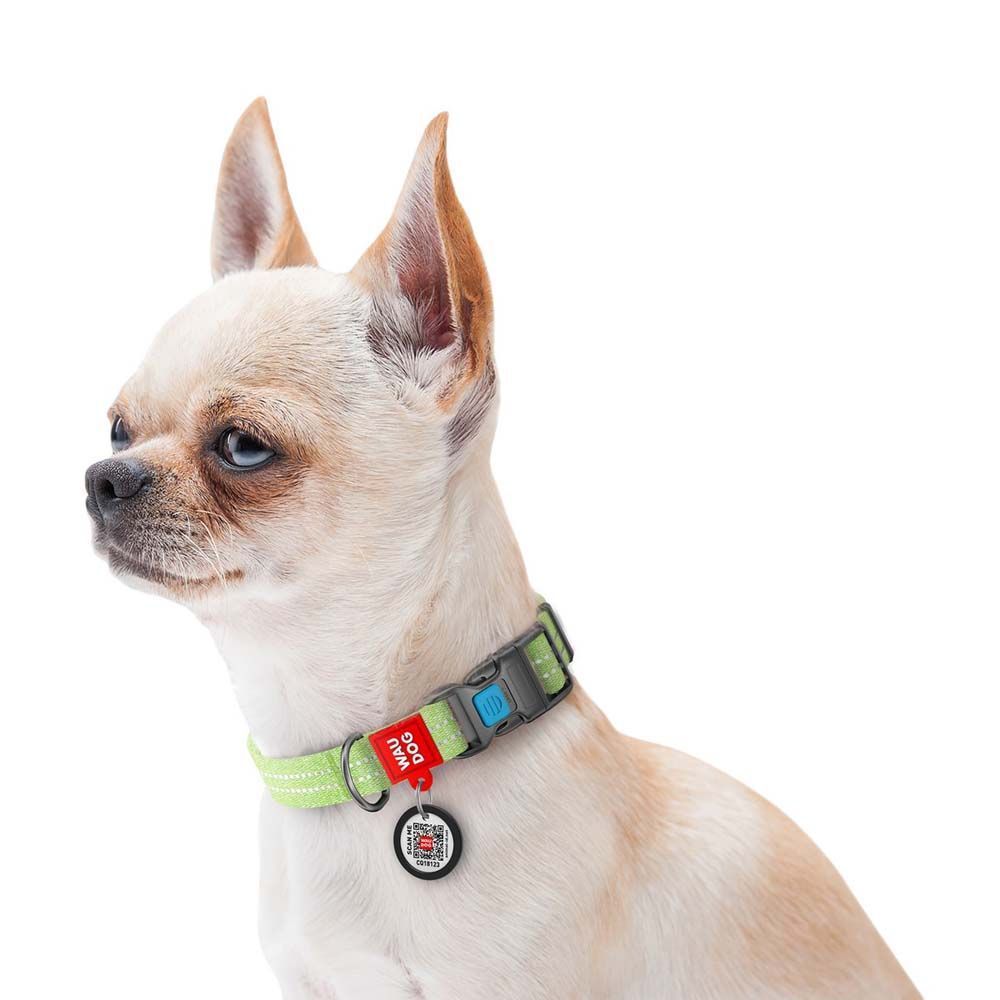 Ошейник светоотражающий Collar WAUDOG Re-cotton с QR-паспортом 23-35 см/15 мм (салатовый) Ошейник светоотражающий Collar WAUDOG Re-cotton с QR-паспортом 23-35 см/15 мм (салатовый)