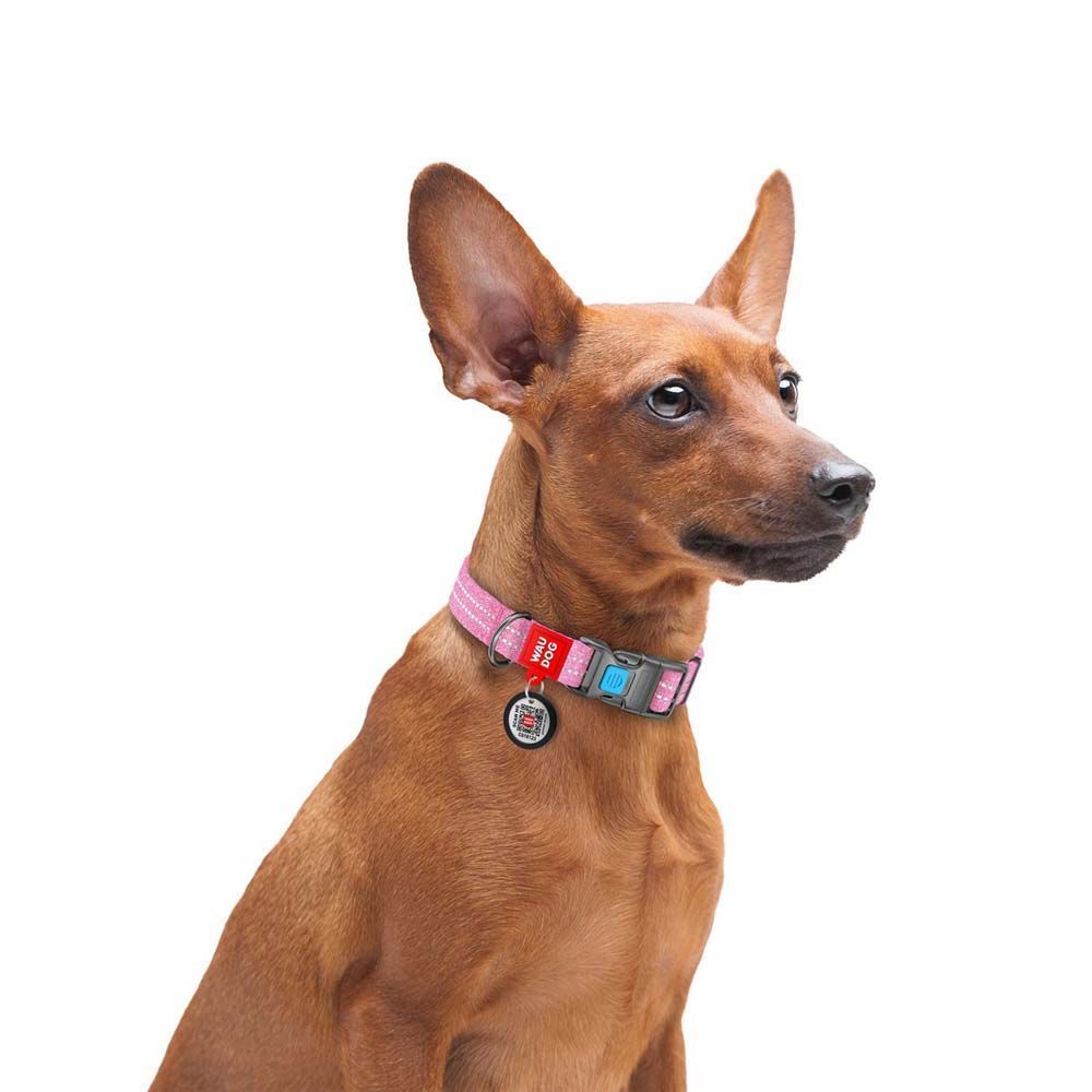 Нашийник світловідбивний Collar WAUDOG Re-cotton з QR-паспортом 24-40 см / 20 мм (рожевий) Нашийник світловідбивний Collar WAUDOG Re-cotton з QR-паспортом 24-40 см / 20 мм (рожевий)