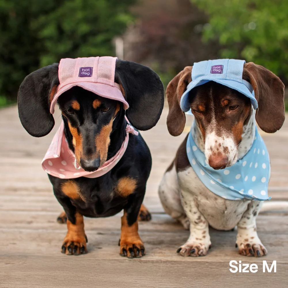 Панама для собак Hat-Dog S - блакитний Панама для собак Hat-Dog S - блакитний