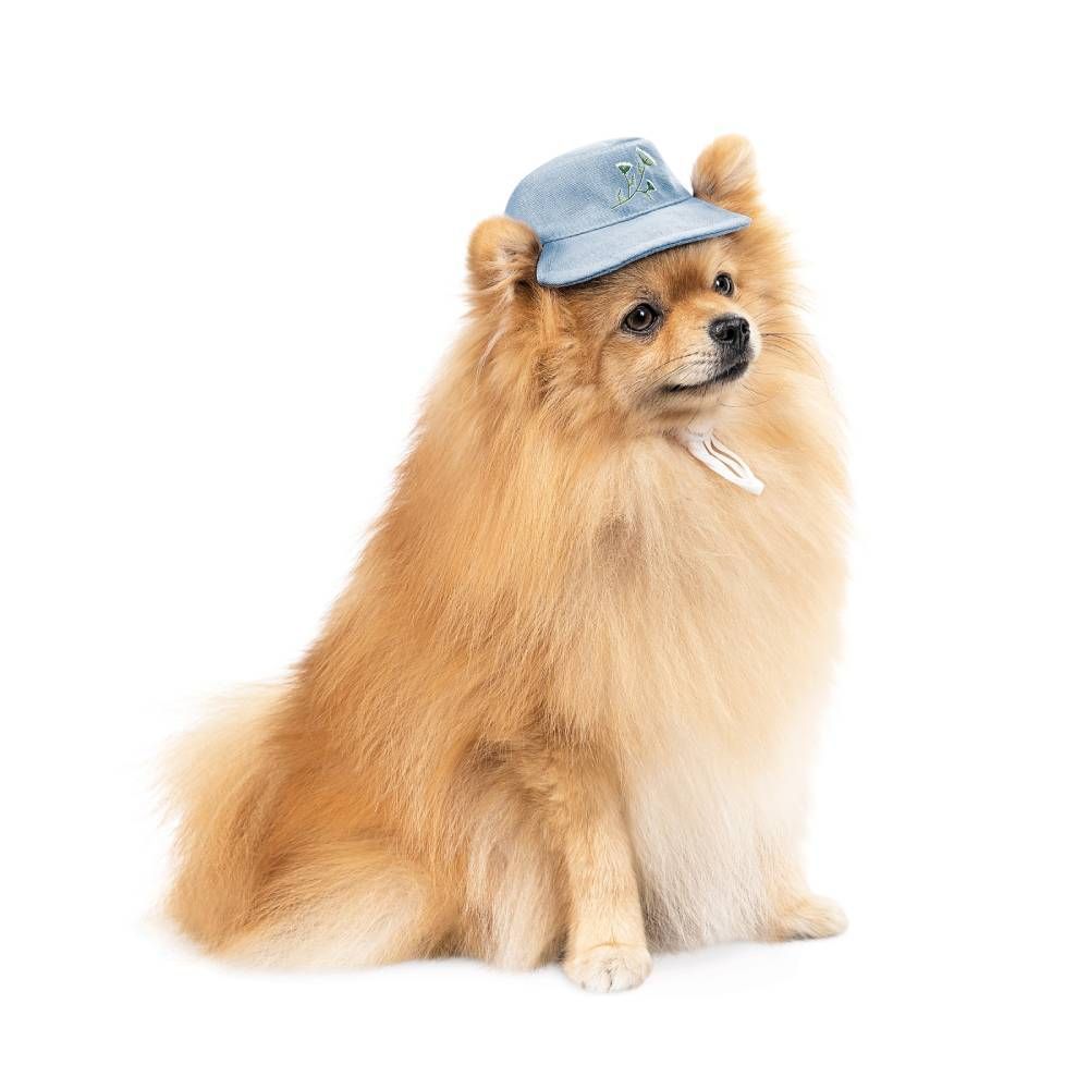 Панама для собак Pet Fashion Blue XS