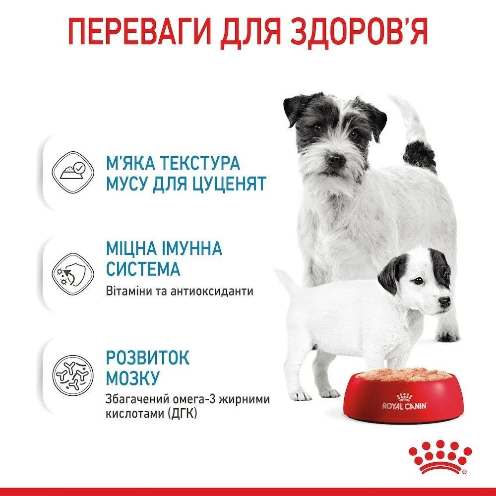 Вологий корм для цуценят Royal Canin Royal Starter Mousse 195 г Вологий корм для цуценят Royal Canin Royal Starter Mousse 195 г
