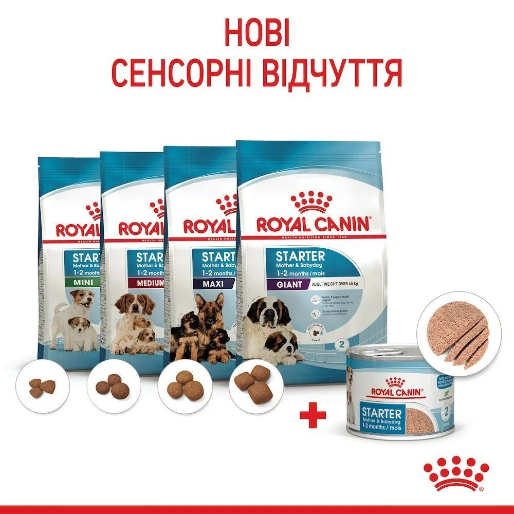 Вологий корм для цуценят Royal Canin Royal Starter Mousse 195 г Вологий корм для цуценят Royal Canin Royal Starter Mousse 195 г