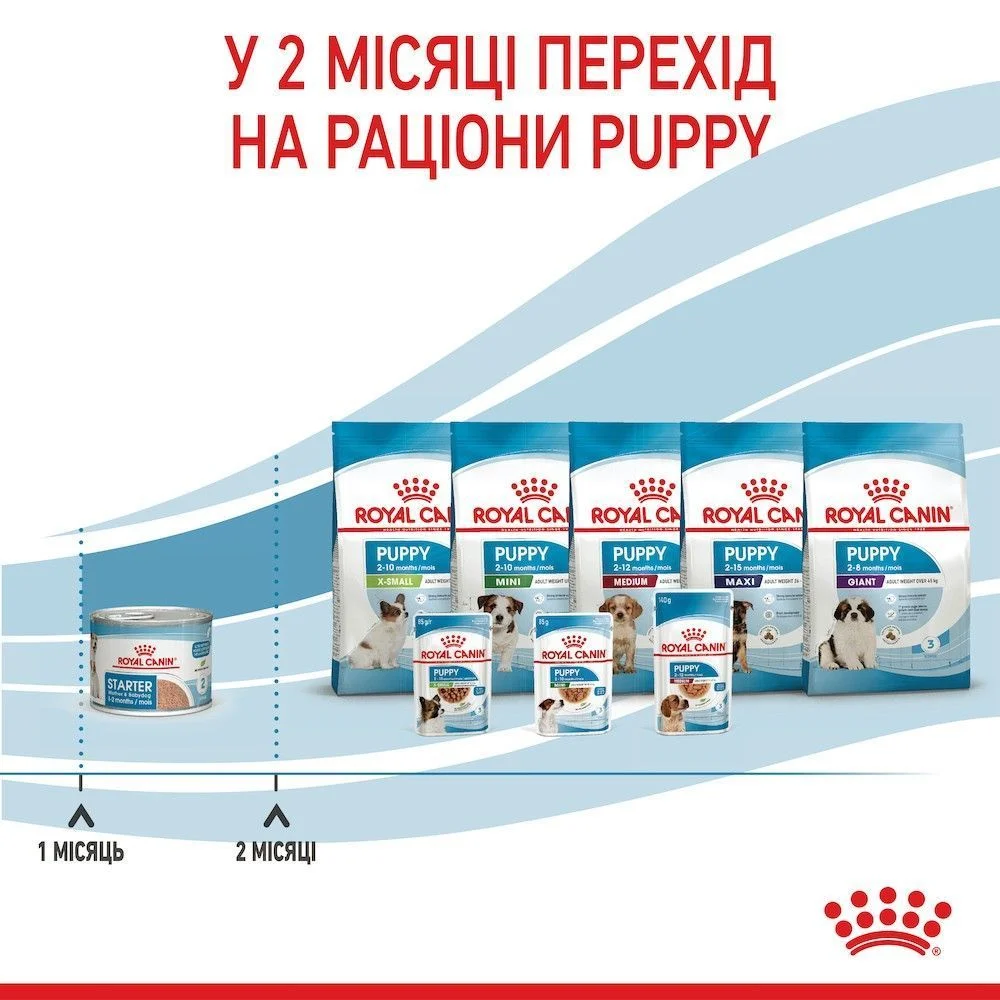 Вологий корм для цуценят Royal Canin Royal Starter Mousse 195 г Вологий корм для цуценят Royal Canin Royal Starter Mousse 195 г