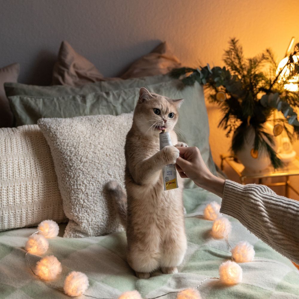 Лакомства для кошек GimCat Expert Line Relax 50 г Лакомства для кошек GimCat Expert Line Relax 50 г