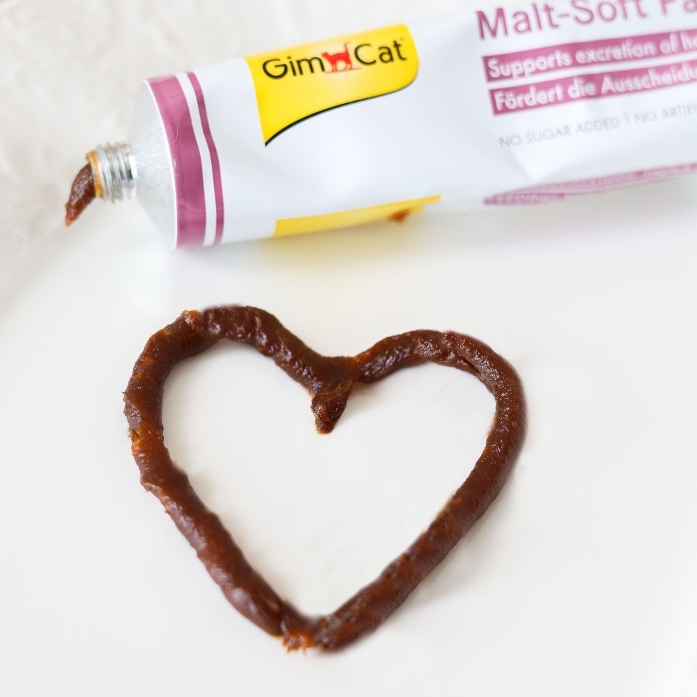 Ласощі для котів GimCat Malt-Soft Paste Extra 20 г Ласощі для котів GimCat Malt-Soft Paste Extra 20 г