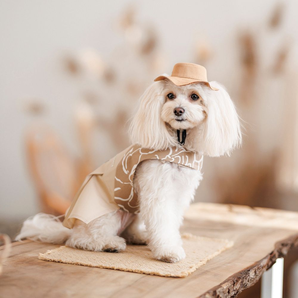 Pet Fashion Ava панама для собак XS Pet Fashion Ava панама для собак XS