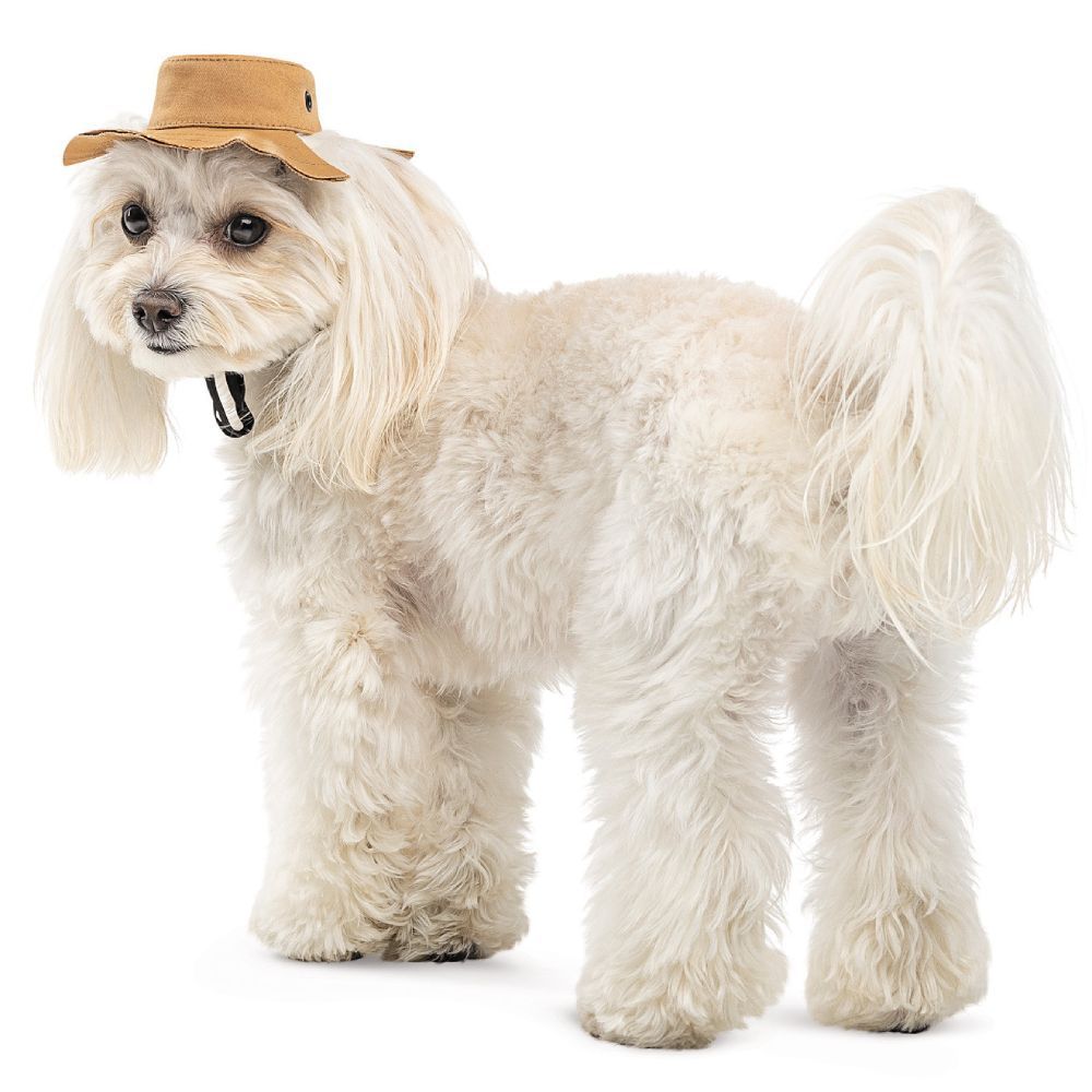 Pet Fashion Ava панама для собак XS Pet Fashion Ava панама для собак XS