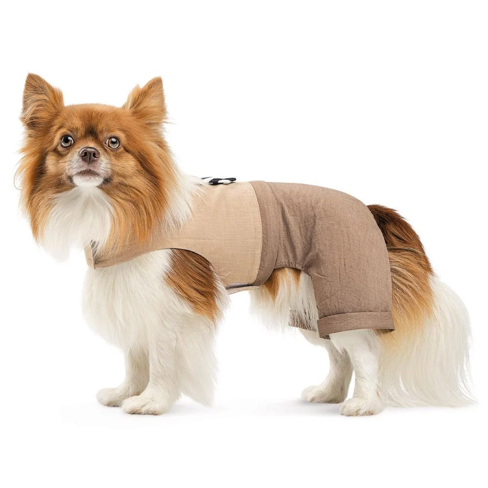 Pet Fashion Darcy шлея-костюм для собак XXS Pet Fashion Darcy шлея-костюм для собак XXS