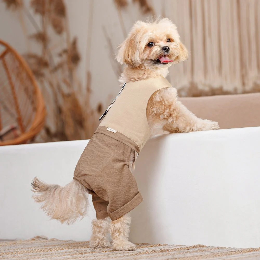 Pet Fashion Darcy шлея-костюм для собак XXS Pet Fashion Darcy шлея-костюм для собак XXS