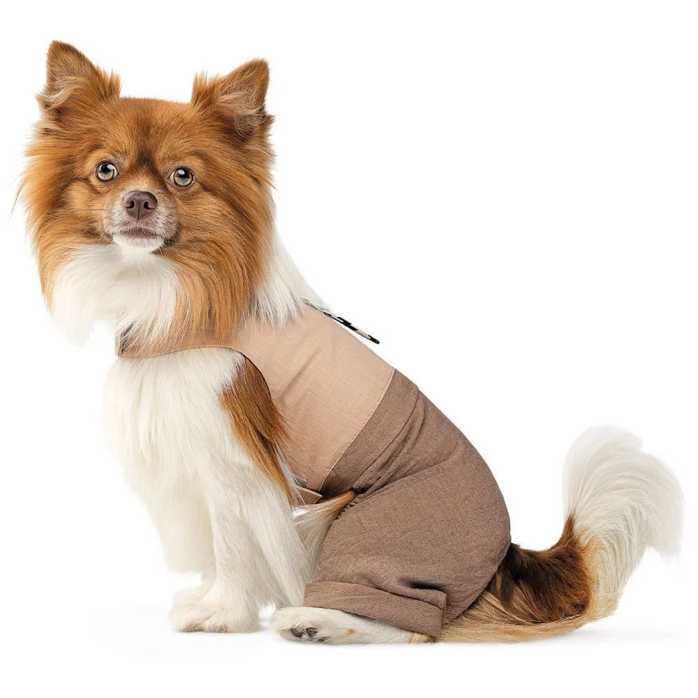 Pet Fashion Darcy шлея-костюм для собак XXS Pet Fashion Darcy шлея-костюм для собак XXS