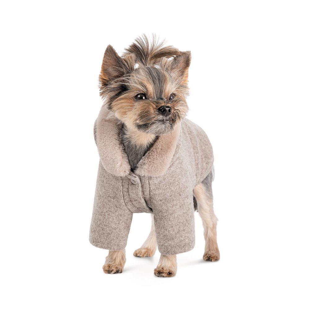 Pet Fashion Flex толстовка для собак XS-2 Pet Fashion Flex толстовка для собак XS-2